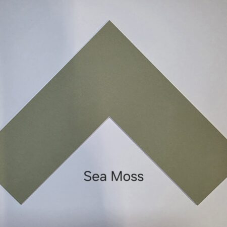 Sea Moss Mount Pack (4 Pack)